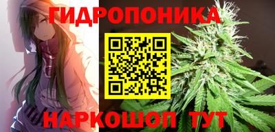 шишки Ликино-Дулёво