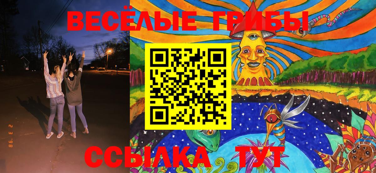 где найти   Псилоцибиновые грибы MAGIC MUSHROOMS  Вход с VPN  Волгодонск  Галлюциногенные грибы прущие грибы 